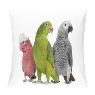 Personality  Group Of Parrots Pillow Covers