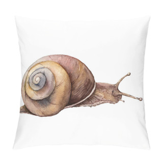 Personality  Watercolor Snail. Hand Painted Animal Isolated On White Background. Wildlife Illustration For Design, Print, Fabric Or Background. Pillow Covers
