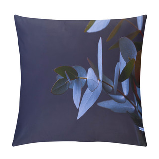 Personality  Eucalyptus Leaves On Twigs In Vase On Dark Pillow Covers
