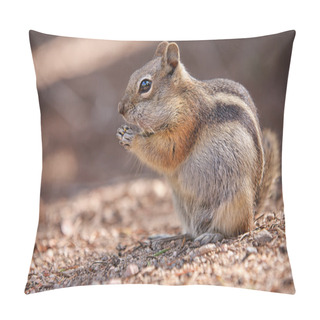 Personality  Chipmunk In The Rocky Mountain National Park Pillow Covers
