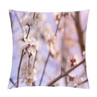Personality  Flowers On Trees In Spring, Apricot Blooms, Close Up View  Pillow Covers