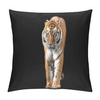 Personality  Tiger With A Black Background Pillow Covers