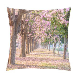 Personality  Pink Trumpet Tree Row With Mist In Sunrise Time / Pink Trumpet With Sunrise Pillow Covers
