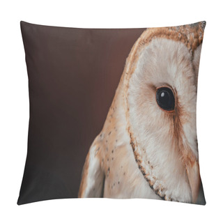 Personality  Cropped View Of Cute Wild Barn Owl Head On Dark Background Pillow Covers