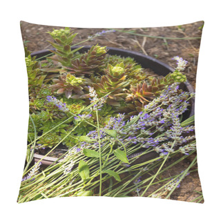 Personality  Lavender And Succulent Plant Pillow Covers