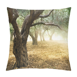 Personality  Old Olive Trees Pillow Covers