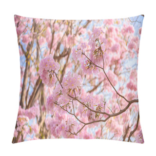 Personality  Tabebuia Rosea Is A Pink Flower Neotropical Tree Pillow Covers