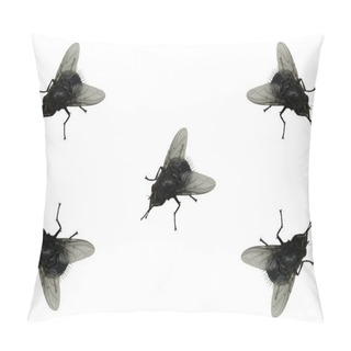 Personality  Flies. Pillow Covers