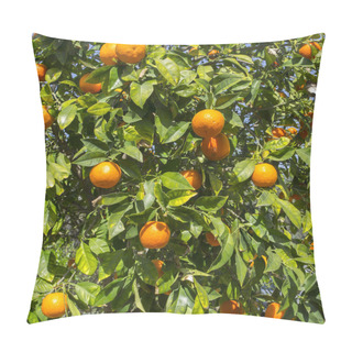 Personality  Tangerine Trees Pillow Covers