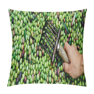 Personality  Closeup Of Young Caucasian Man With A Comb-like Tool In His Hand Used To Collect The Arbequina Olives In An Olive Grove In Catalonia, Spain, N A Panoramic Format To Use As Web Banner Or Header Pillow Covers