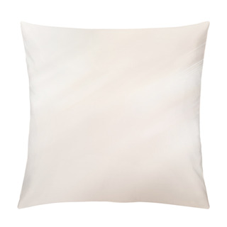 Personality  Elegant Beige Background Pillow Covers