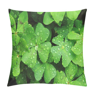 Personality  Quatrefoils With Water Drops Pillow Covers