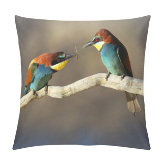 Personality  Courting Male & Female European Bee-eater (Merops Apiaster) Pillow Covers