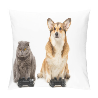 Personality  Cute Corgi And British Shorthair Cat Sitting With Joysticks For Video Game Isolated On White Background  Pillow Covers