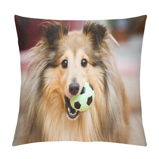 Personality  Sheltie Pillow Covers