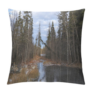 Personality  The Breath Of Winter In The Woods, Near The Shore Of A Forest Lake Pillow Covers