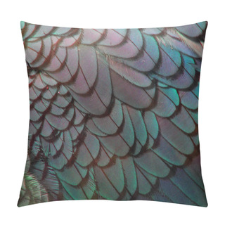 Personality  Bird Feathers Abstract Coloured Exotic Pillow Covers