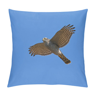 Personality  Eurasian Sparrowhawk In Flight With Blue Skies In The Background Pillow Covers