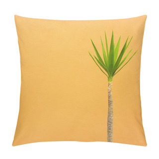 Personality  Tall Trunk And Green Leaves Of Dracaena On An Orange Background. Bright Representative Of The Drazenov Family. Pillow Covers