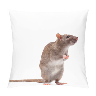 Personality  Cute Domestic Brown Rat Pillow Covers