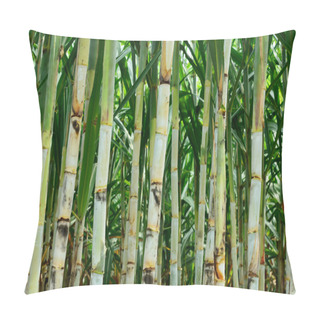 Personality  Small Sugar Cane Pillow Covers