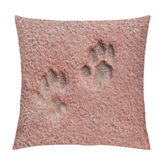 Personality  Cat Paw Prints In Concrete Pillow Covers