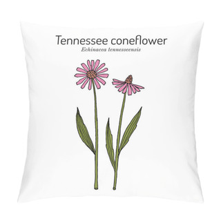 Personality  Tennessee Purple Coneflower Echinacea Tennesseensis , State Flower Of Tennessee Pillow Covers