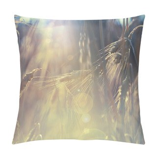 Personality  Wheat Field Against Sunlight Pillow Covers