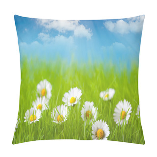 Personality  Field Of Daisy And Blue Sky On Background Pillow Covers