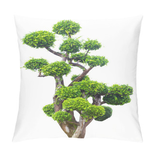 Personality  Bonsai Tree In Garden Isolated On White  Pillow Covers