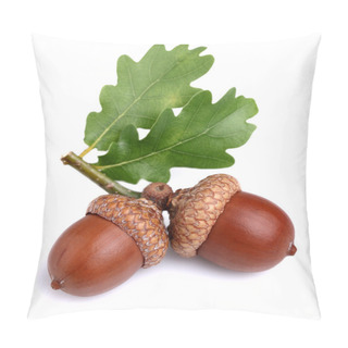 Personality  Dried Acorn With Leaves Pillow Covers