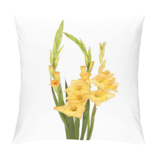 Personality  Pale Orange Gladioli Flowers Pillow Covers