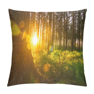 Personality  Silent Forest In Spring With Sun Rays Pillow Covers
