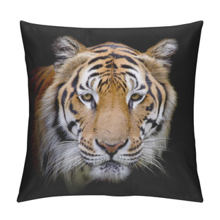 Personality  Tiger Animal Background Pillow Covers