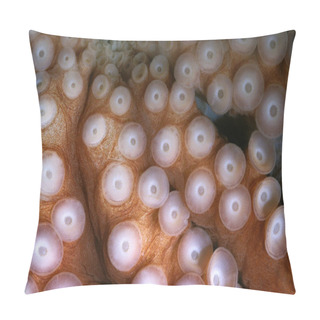 Personality  POULPE Octopus Lyanea Pillow Covers