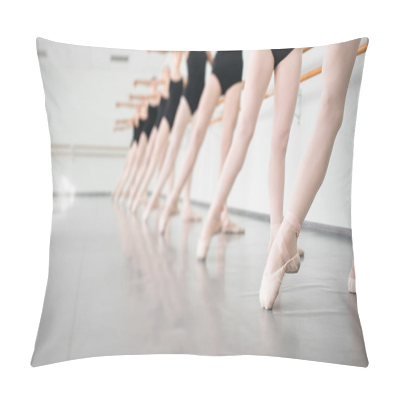 Personality  young dancers ballerinas in class classical dance, ballet pillow covers