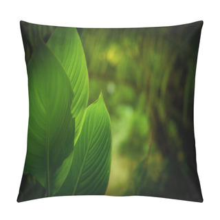 Personality  Herbalherbal Pillow Covers