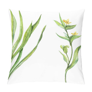 Personality  Watercolor Plants On A White Background. Green Plant. Yellow Flowers. Wild Flowers Drawn By Hand. Pillow Covers
