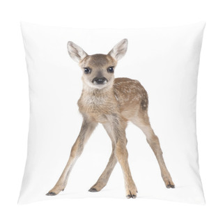 Personality  Portrait Of Roe Deer Fawn, Capreolus Capreolus, 15 Days Old, Standing Against White Background, Studio Shot Pillow Covers