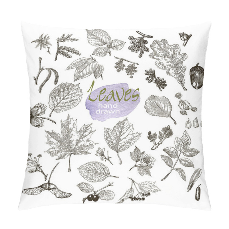 Personality  Collection Of Highly Detailed Hand Drawn Leaves, Fruit And Inflorescence  Isolated On White Background Pillow Covers