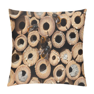 Personality  Mason Bees At An Insect Hotel Pillow Covers