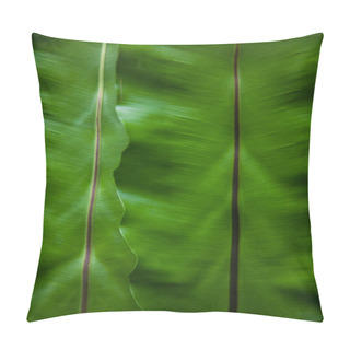 Personality  Close-up Shot Of Banana Leaves As Background Pillow Covers