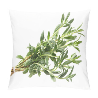 Personality  Hyssop Hyssopus Officinalis Herb, Path Pillow Covers