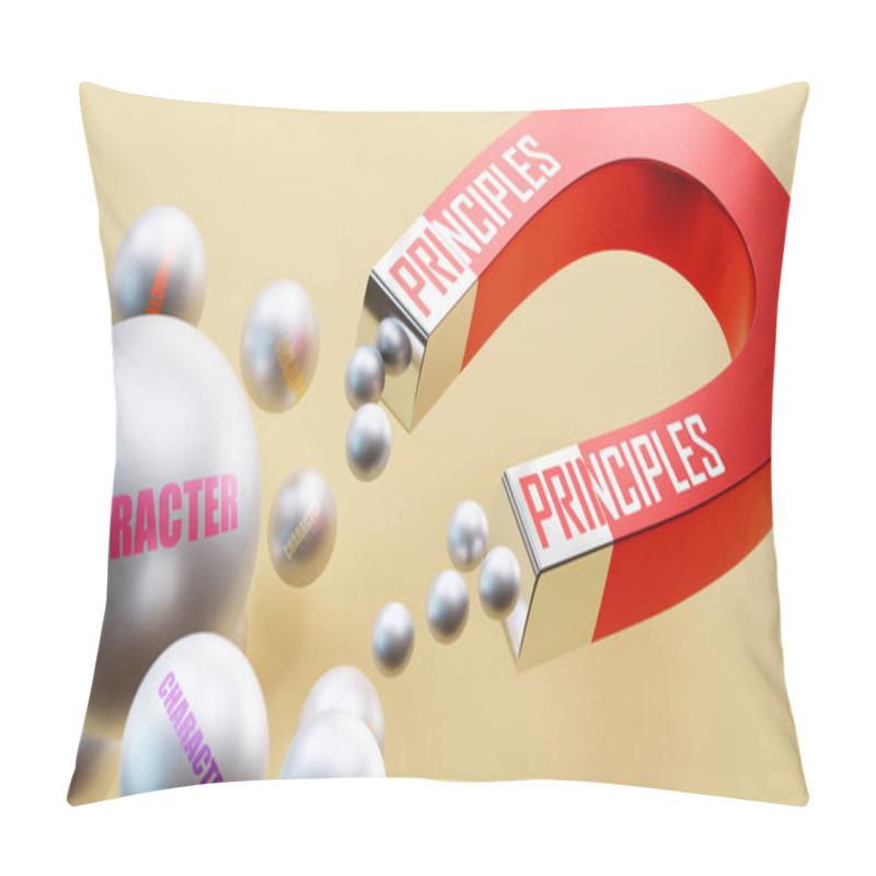 Personality  Principles Which Brings Character. A Magnet Metaphor In Which Principles Attracts Multiple Parts Of Character. Cause And Effect Relation Between Principles And Character. Pillow Covers