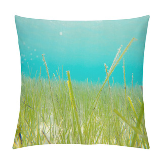 Personality  Underwater Photo Of Green Grass And Blue Sea Water Pillow Covers