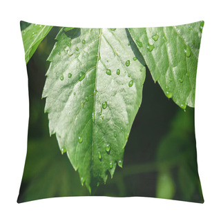 Personality  Drops On Green Leaves Pillow Covers