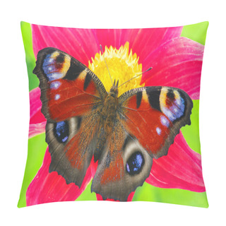 Personality  Colorful Butterfly Pillow Covers