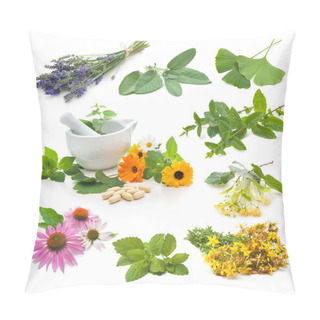 Personality  Collection Of Fresh Medicinal Herb Pillow Covers