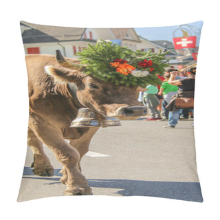 Personality  Almabzug Pillow Covers