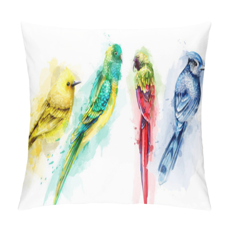 Personality  Colorful tropic birds watercolor Vector. Beautiful exotic set collections pillow covers